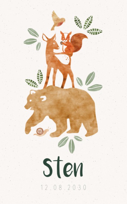 Bosdieren geboortekaartje - Sten