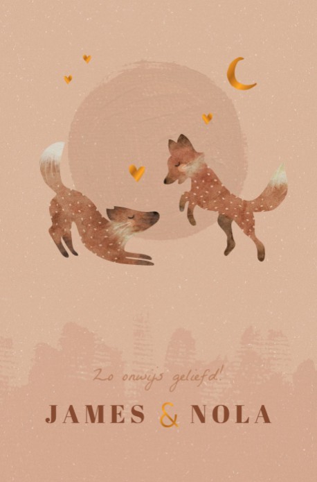 dierenkaartje tweeling vosjes - James en Nola