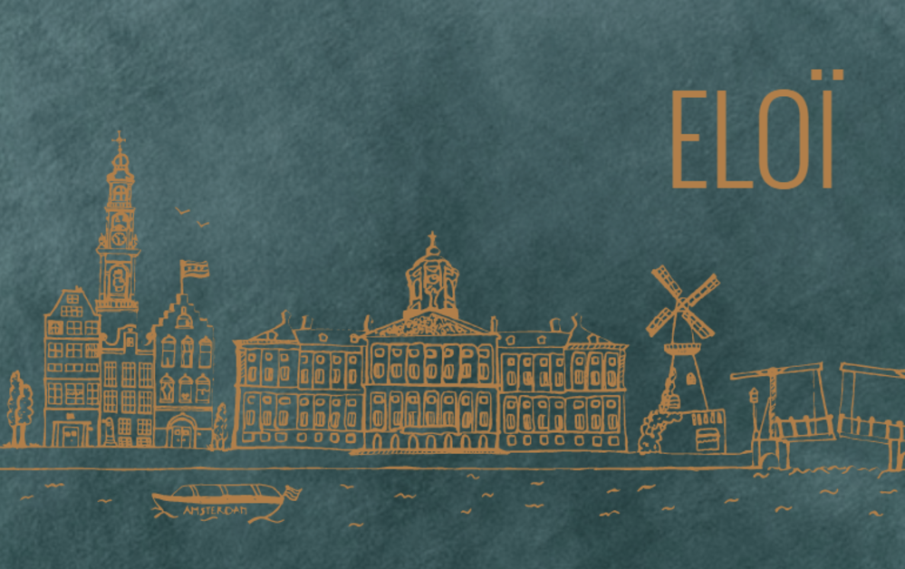 Geboortekaartje skyline Amsterdam velvet look - Eloï