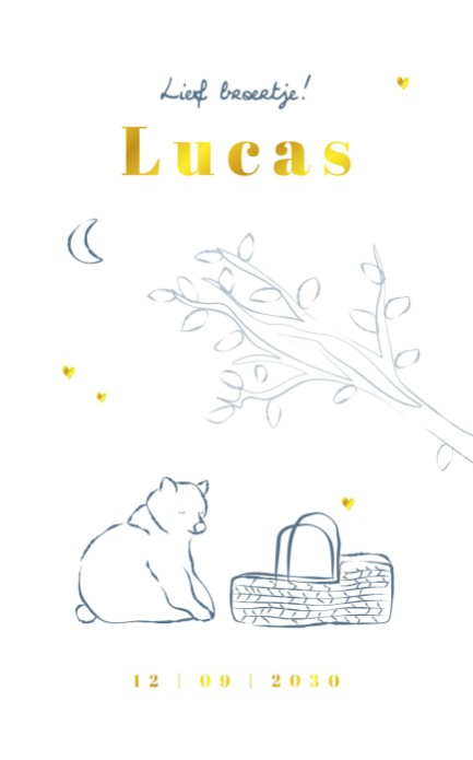 Geboortekaartje beertje Lucas