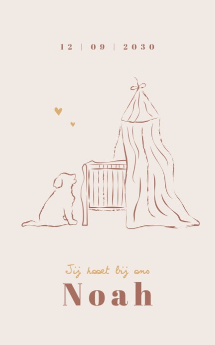 Geboortekaartje broertje of zusje - Noah