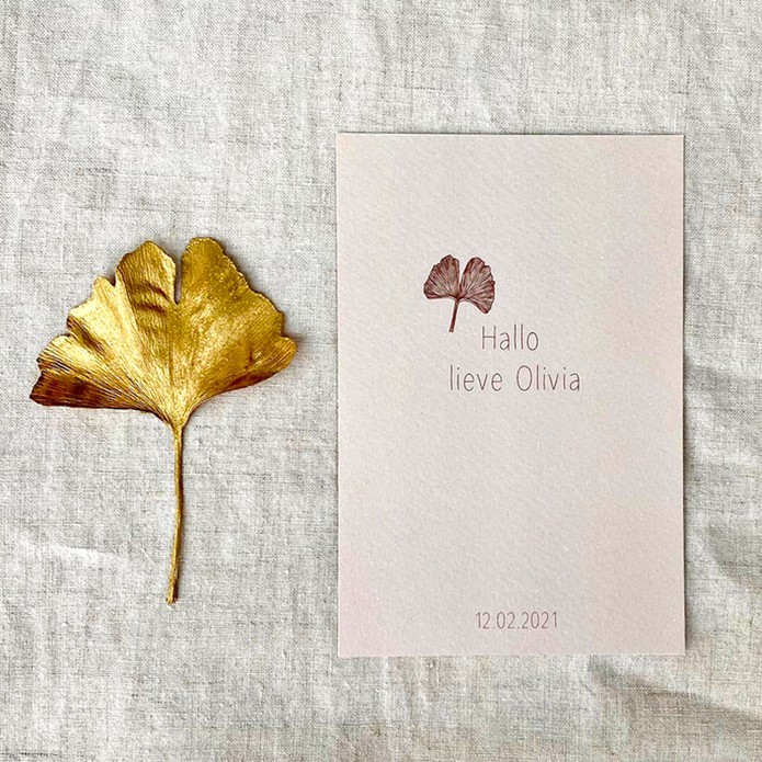 Geboortekaartje Olivia ginkgo blad