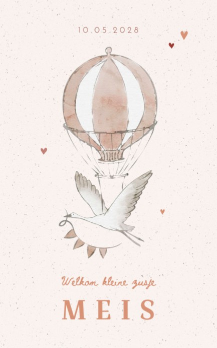 Geboortekaartje klassiek ooievaar - Meis