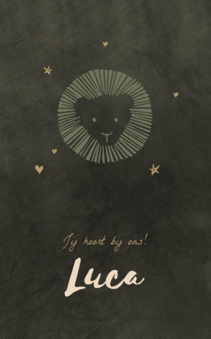 Geboortekaartje met leeuwtje Luca