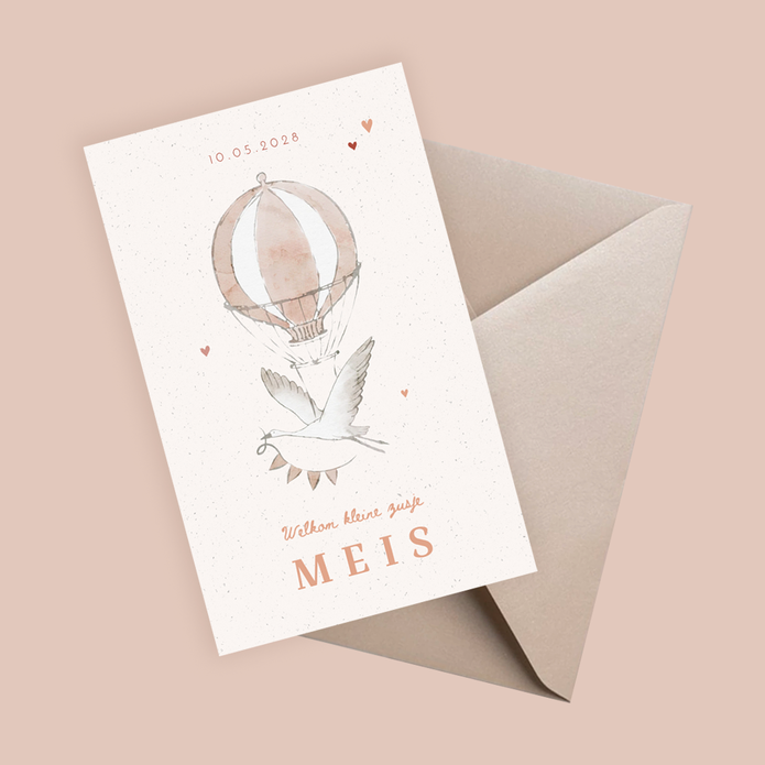 Geboortekaartje klassiek ooievaar - Meis