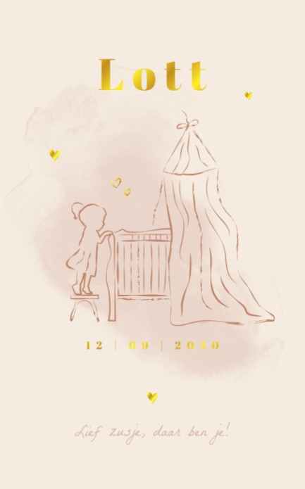 Geboortekaartje zusje lijntekening Lott