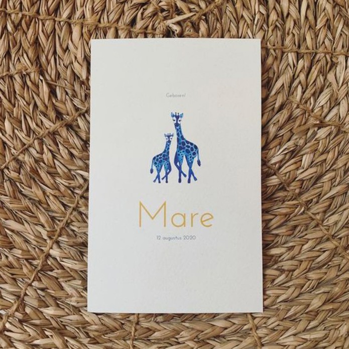 Mare - waterverf giraf zusje