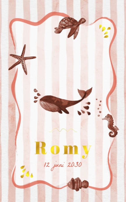 Grafisch geboortekaartje - Romy