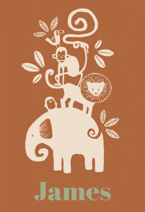 Geboortekaartje wilde dieren terra - James