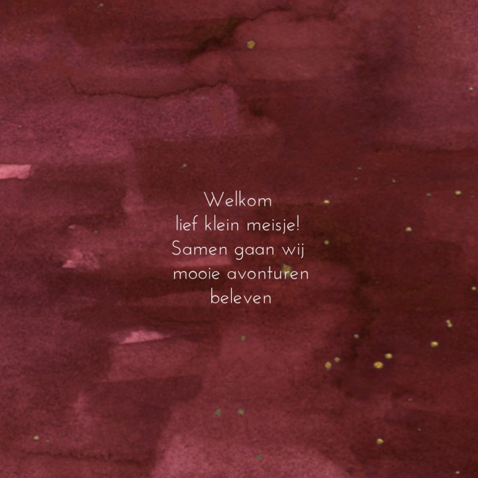 kaart binnenzijde links