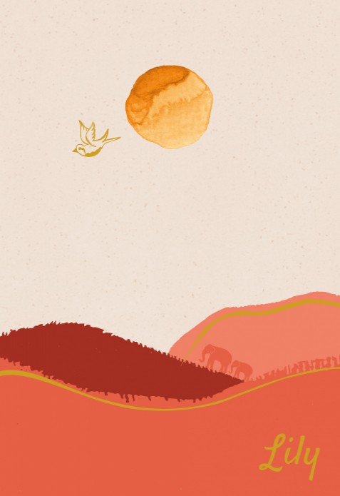 Geboortekaartje zonsondergang - Lily