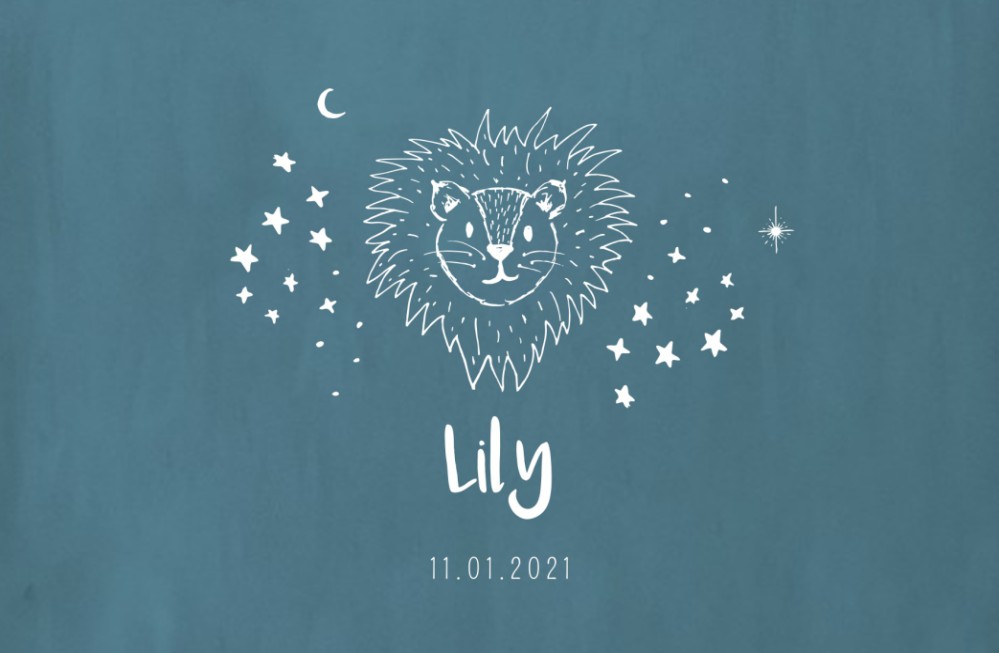 Geboortekaartje leeuwin blauw Lily