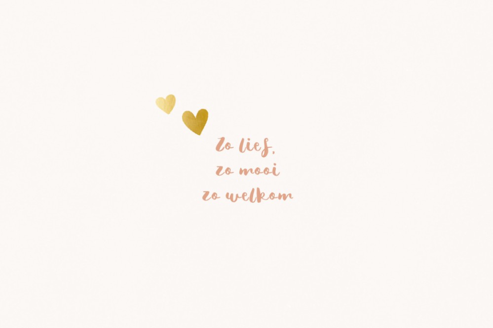 kaart binnenzijde links