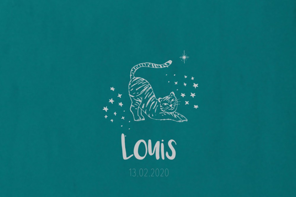 Geboortekaartje tijger jungle petrol - Louis