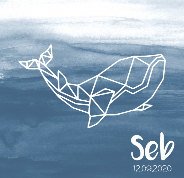 Geboortekaartje walvis lijntekening - Seb